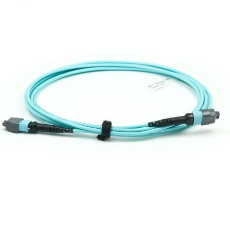 Patch Cable, MTP/UPC-MTP/UPC, 12 Strand, OM3 03M